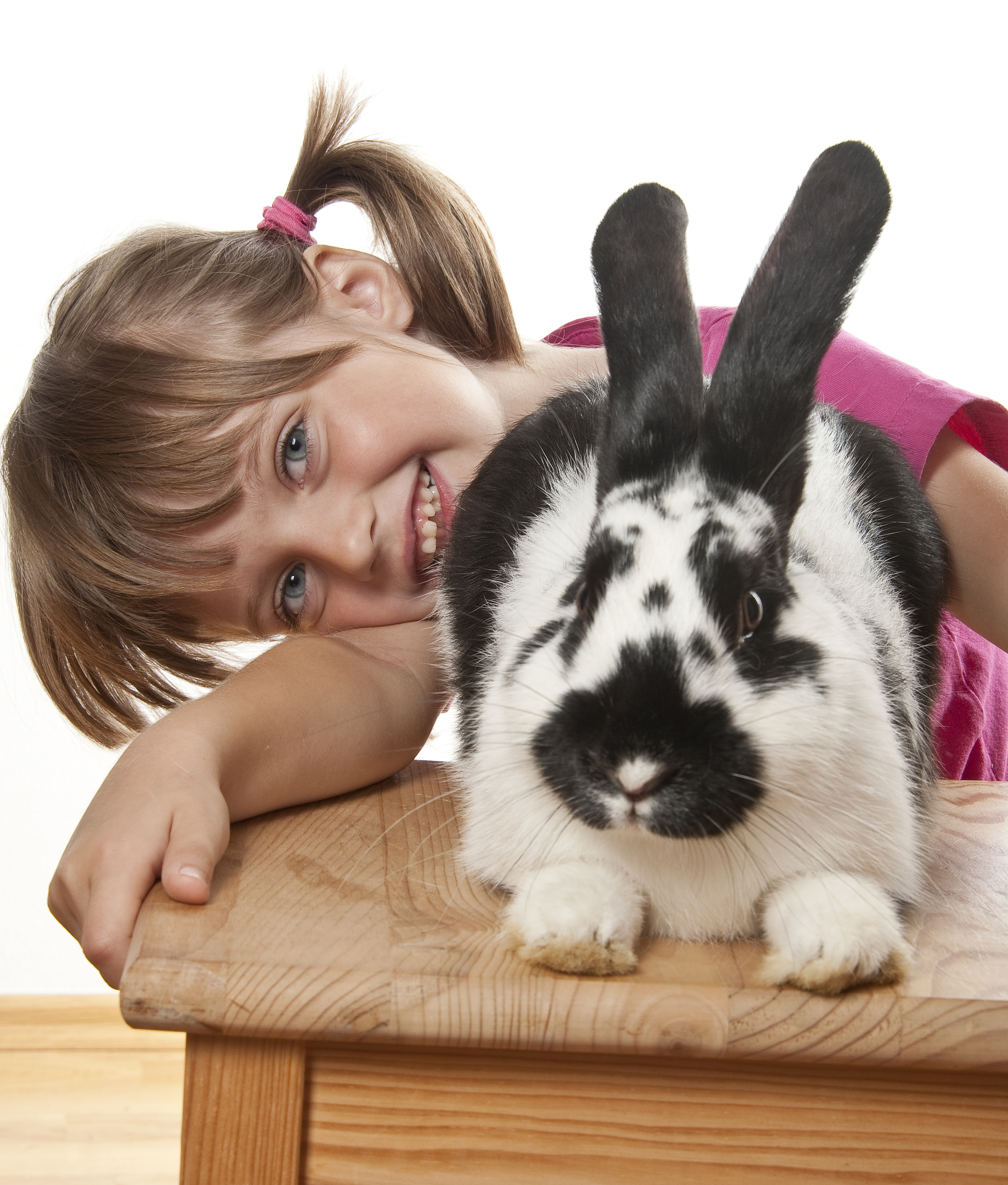 Little,Girl,And,Rabbit,Portrait Little,Girl,And,Rabbit,Portrait