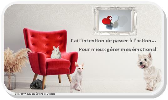 Cartes - Gestion des émotions Cartes - Gestion des émotions